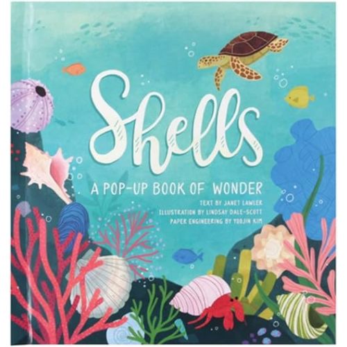 Shells: A Pop-Up Book of Wonder (4 Seasons of Pop-Up) Hardcover – Pop up, May 31, 2019