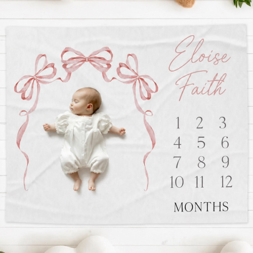 Personalized Pink Bow Baby First Year Milestone Newborn Girl Monthly Growth Blanket Coquette Baby Girl Gift Minky Watch Me Grow Baby Blanket