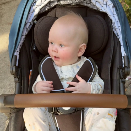 Infant Seat Stroller Insert