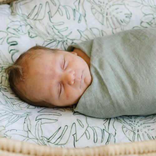 Red Rovr Organic Cotton Muslin Swaddle Blanket Single