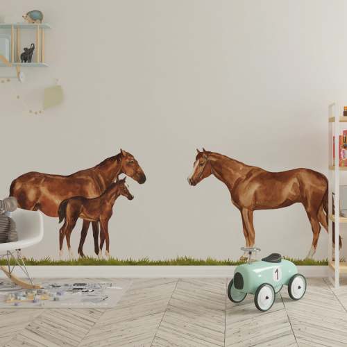 Horse Family