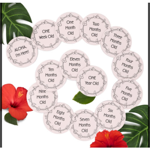 Milestone Photo Cards