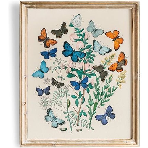 DREAM BIG PRINTABLES Vintage Butterfly Wall Art Print - Unframed - 8x10 | Botanical Wall Decor | Reproduction of Authentic Vintage Drawings for Home or Office