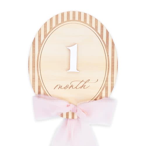 Baby Milestone Signs 1–12 Months, Monthly Milestone Markers, Newborn Photo Props, Baby Growth Photo Cards, Nursery Decor (Bow D39)