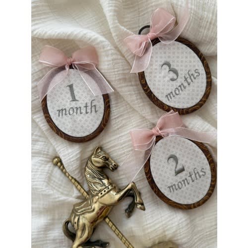 First Year Milestone Hoops | Embroidered Baby Milestone | Month Sign with Bow | Photo Props | Baby Milestone