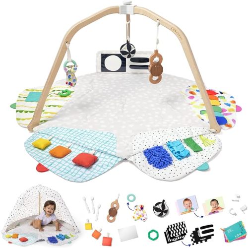 The Play Gym by Lovevery | Stage-Based Developmental Activity Gym & Play Mat for Baby to Toddler