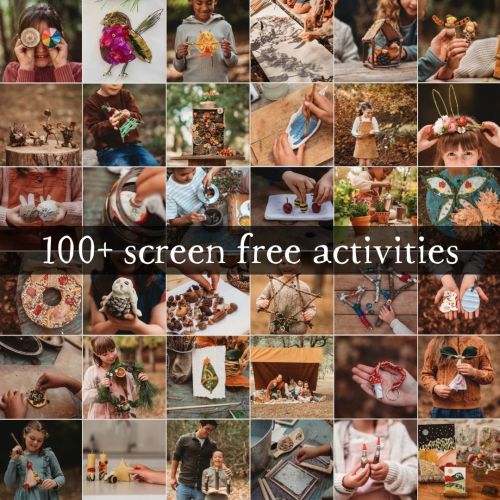 Nature Craft Series - 5 Books – Your Wild Books