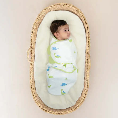 Wake Me Not Swaddle™| Dino Dreams