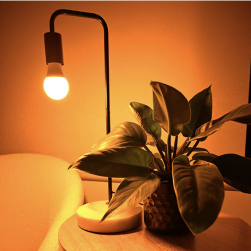 Full Spectrum Light Bulb- NONflicker Low Emf Sunrise-Sunset pattern
