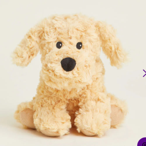 Golden Dog Warmies Junior