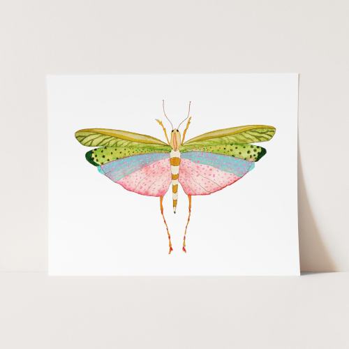 Colorful Bug Watercolor Art Print. Pretty Grasshopper Wall Art. Nature Gallery Wall. Kids Decor. Nursery Design. Gallery Wall Art. Insects.