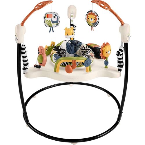 Amazon.com: Fisher-Price Baby Bouncer Palm Paradise Jumperoo Activity Center With Music Lights Sounds And Developmental Toys : Baby