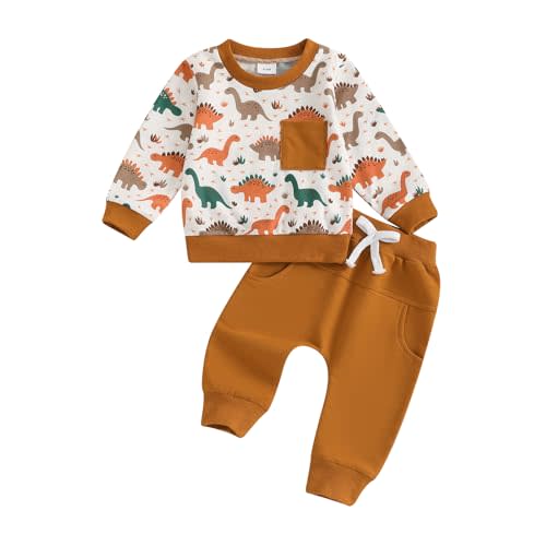 Toddler Baby Boy Fall Clothes Long Sleeve Dinosaur/Bear Print Sweatshirt Pants Set Cute Infant 0-3T Winter Outfits