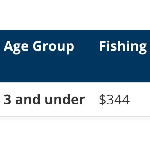Minnesota resident lifetime fishing license *only*
