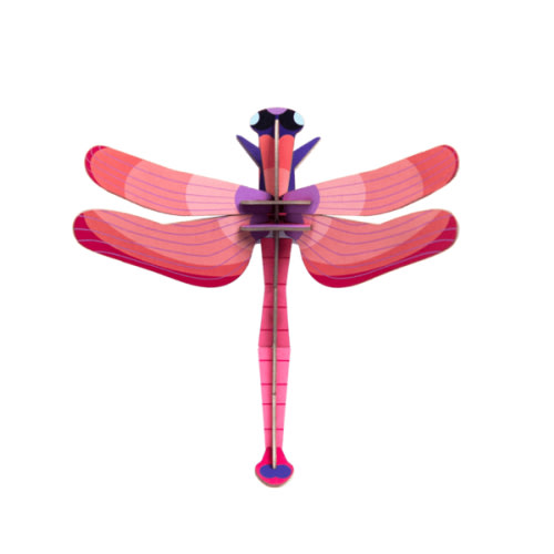 Ruby Dragonfly - Studio ROOF