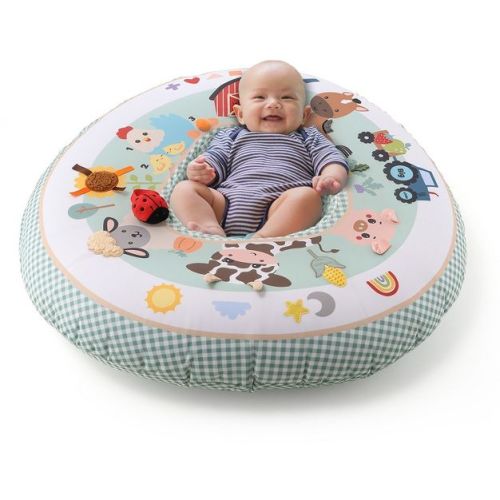 The Peanutshell Inflatable Play Ring Activity Center - Gingham Farm