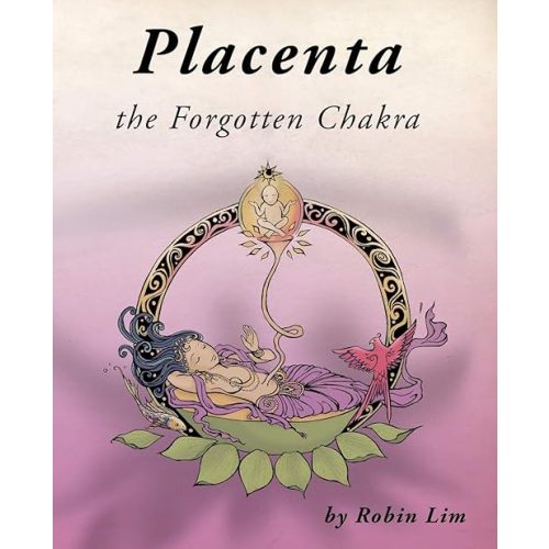 Placenta - the Forgotten Chakra Paperback – April 8, 2015