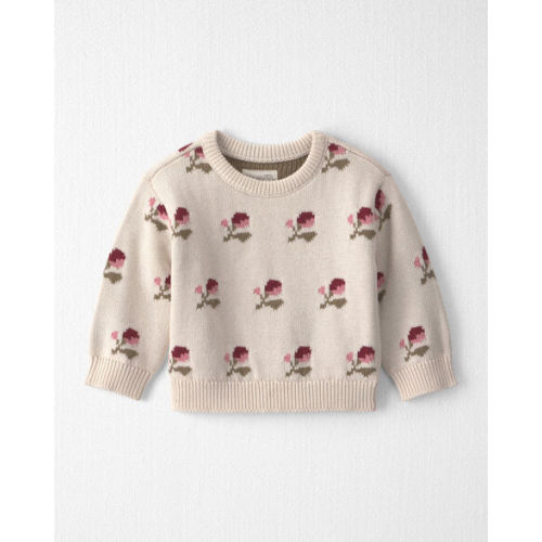 Baby Organic Cotton Sweater Knit Pullover in Wildflower Maize - Little Planet | Carter's