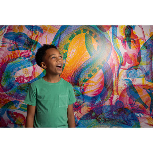 Membership Benefits | Da Vinci Science Center