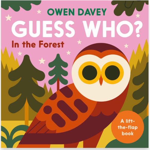 Guess Who? In the Forest by Owen Davey | Buxton Books