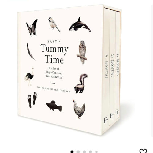 Baby's Tummy Time Book Box Set: A 3-Book Box Set of High-Contrast Art for Visual Stimulation at Tummy Time (Tabitha Paige Children's Book Series)