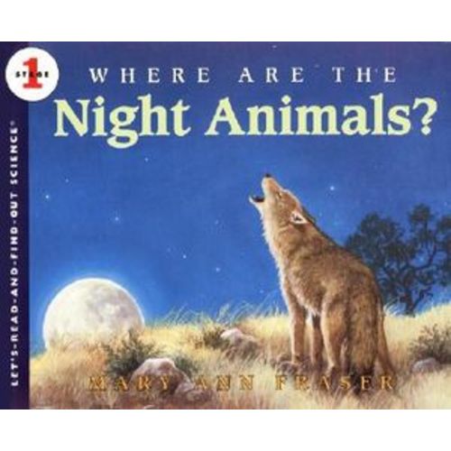 Where Are the Night Animals?