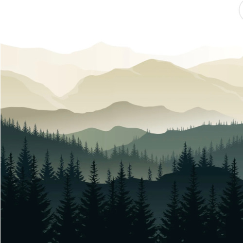 Peel and Stick Wallpaper