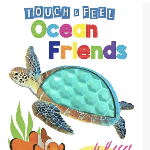 Ocean Friends - Touch and Feel Board Book - Sensory Board Book