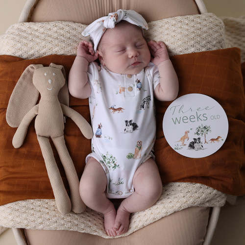 Dog Park Short Sleeve Organic Bodysuit | Snuggle Hunny