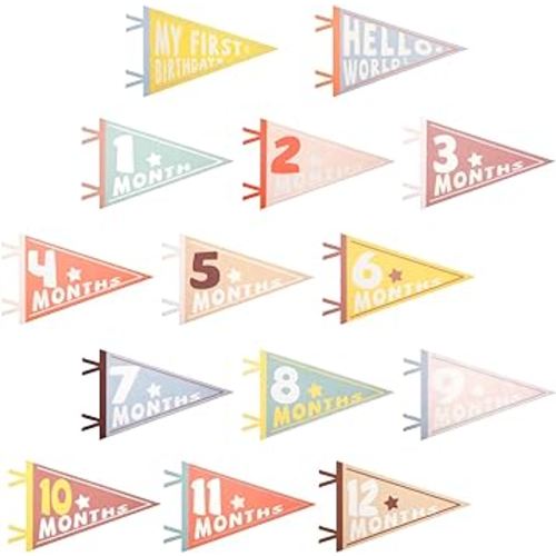 14pcs Baby Milestone Flags, Felt Monthly Milestone Pennant Flag Colorful Baby Milestone Signs for Newborn Baby Shower 1st Birthday Party Decorations (Pattern 1)