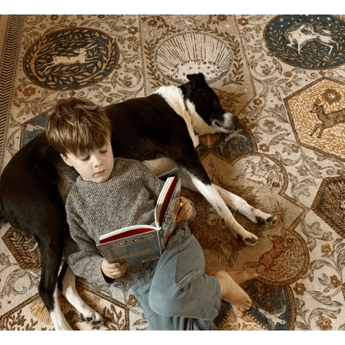 Alister Blush Rug | Ruggable US