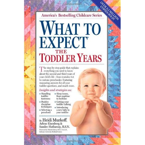 What to Expect the Toddler Years