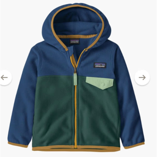 Patagonia Baby Micro D Snap-T Fleece Jacket - 12 months | REI Co-op