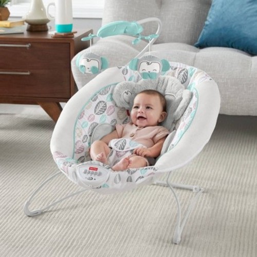 Fisher-Price Snugamonkey Deluxe Bouncer