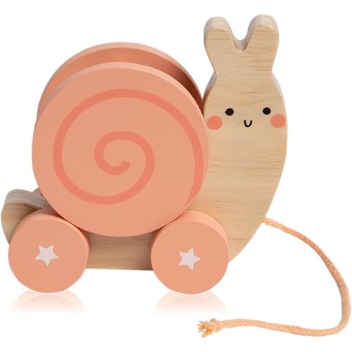Pearhead Montessori Snail Pull Toy, Pull Along Wooden Toy, Early Development Push and Pull String Toy, Motor Skill Toy for Toddlers Ages 1+ Year