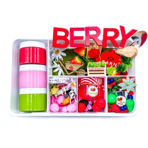Strawberry Picking Sensory Kit