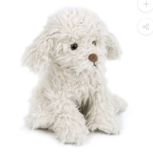 Muffin The Shaggy Puppy