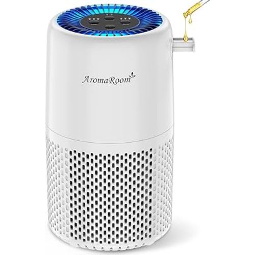 Air Purifier for Home Bedroom, AromaRoom H13 HEPA Air Filter For Smoke Pollen Dander Hair Smell Air Cleaner, 3-in-1 Filter with Sleep Mode, Quiet Air Cleaner For Pets, Home, Baby Room (White, AP103)