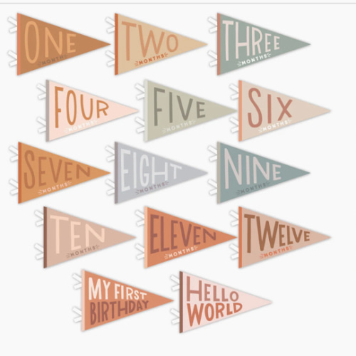 Mountain Fields Petit Milestone Pennant
