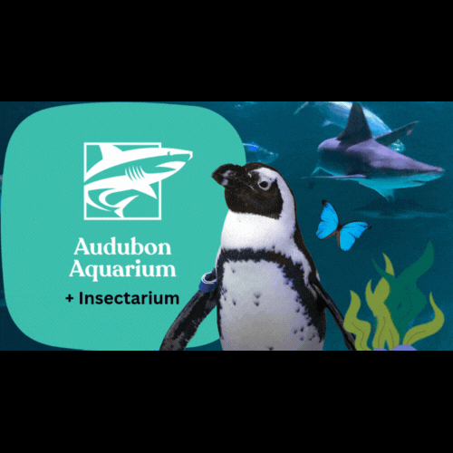 Audubon Zoo Admission Tickets