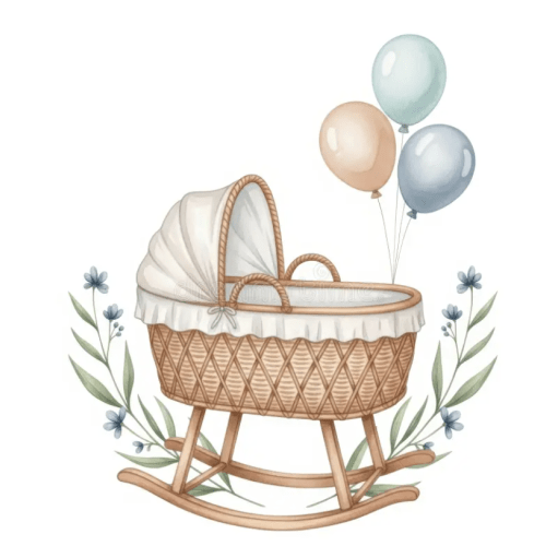 Fund towards Bassinet ($150)
