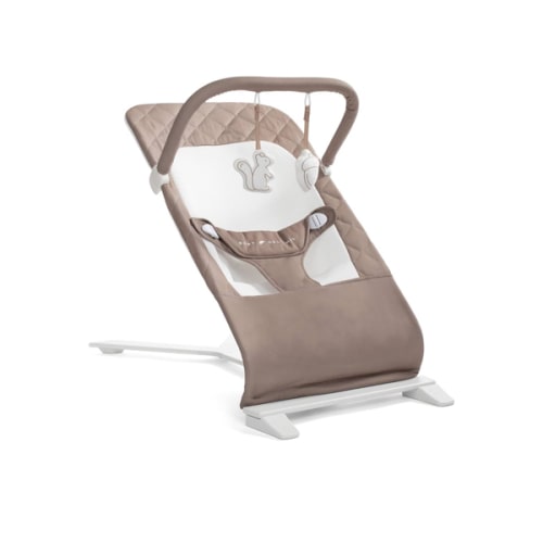 Amazon.com : baby delight bouncer