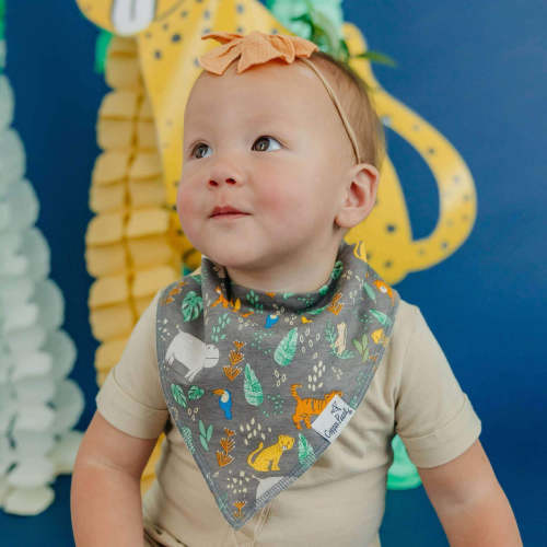 4 Pack Baby Bandana Bibs - Bengal