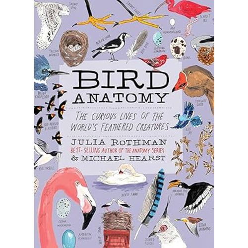 Bird Anatomy: The Curious Lives of the World's Feathered Creatures