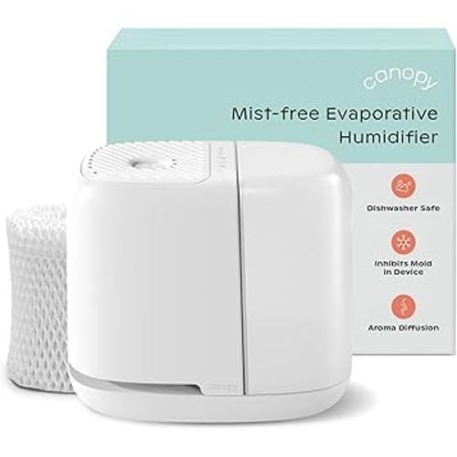 Canopy Bedside Humidifier 2.0, White, 36 HR Run Time, 2.5L Capacity - Reading Light & White Noise - Alleviate Symptoms of Allergies, Flu, Cold, Dry Skin - Humidifier, Filter, Power Cord & Adapter