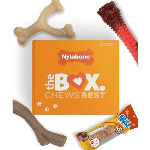 Nylabone Dog Gift Box, Strong Chew Toys & Treat, Large, 4 Count | Flavor variety, 3 durable chew toys & 1 natural treat, dog birthday gift, strong, long lasting, for dogs up to 50 lbs