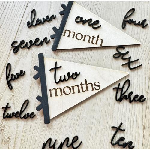 Interchange Numbers Monthly Milestone Pendant Flag, Baby Month Photo Signs,  Baby Shower, Personalized Baby Milestone Wood & Acrylic