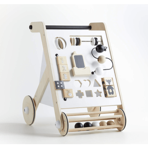 Wonder & Wise by Asweets Baby Activity Push Walker