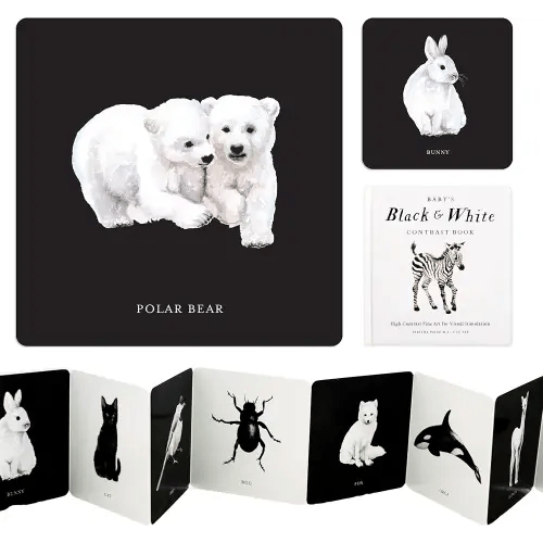 Baby's Black and White Contrast Book: High-Contrast Art for Visual Stimulation at Tummy Time (Tabitha Paige Children's Book Series)
