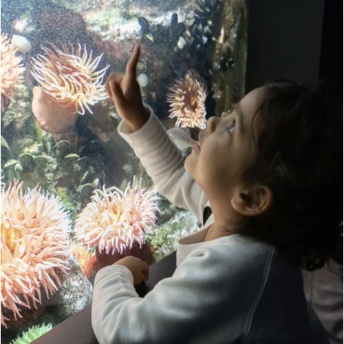 National Aquarium - Membership